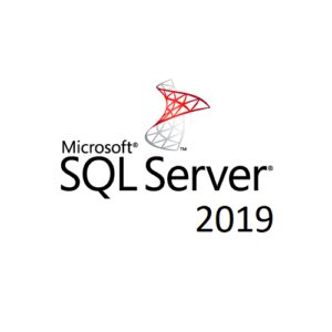 Microsoft SQL Server 2019 Standard - Licence - 1 server - MOLP: Open Business - Win - Single Language