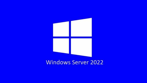 Microsoft Server Standard 2022 ( 24 Core ) OEM Physical Pack