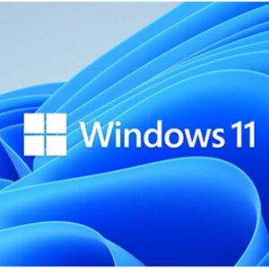 Microsoft Windows 11 PRO for Workstation 64 BIT - By Order NEW
