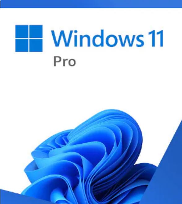 Microsoft Windows 11 PRO - Digital ESD Download -- Key only - No Refund.