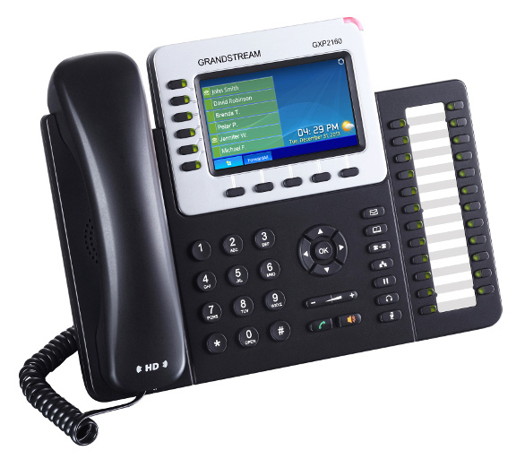 Enteprise IP Phone