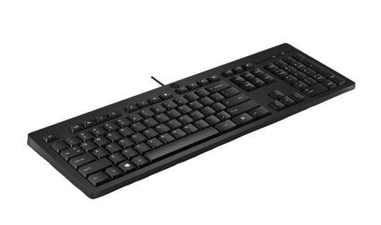 HP 125 Wired Keyboard - Compatible with Windows 10