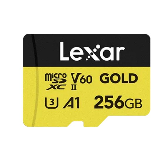 Lexar  FMLSD-GOLD-256GB