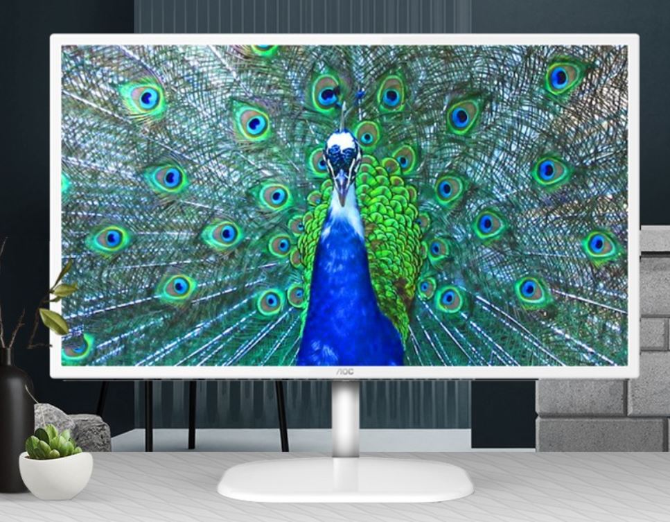 31.5 inch IPS