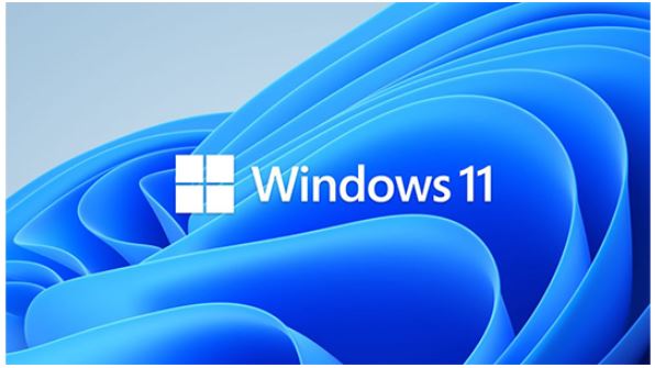 Microsoft Windows 11 PRO for Workstation 64 BIT - By Order NEW