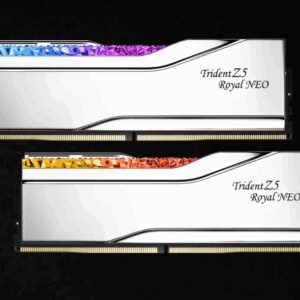 G.SKILL F5-6000J2636H16GX2-TR5NS 32GB (2 x 16GB)/AMD EXPO/ DDR5 6000TM/s/Timings 26-36-36-96/ Voltage1.45V/EXPO TZ5 Royal Neo S