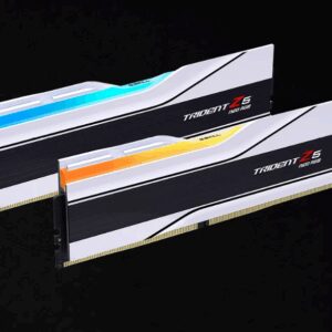 G.SKILL F5-6000J2636H32GX2-TZ5NR  64GB (2 x 32GB)/ AMD EXPO/DDR5 6000 MT/s/  Timings 26-36-36-96 Heatsink/Voltage 1.45v/ TZ5 Neo RGB