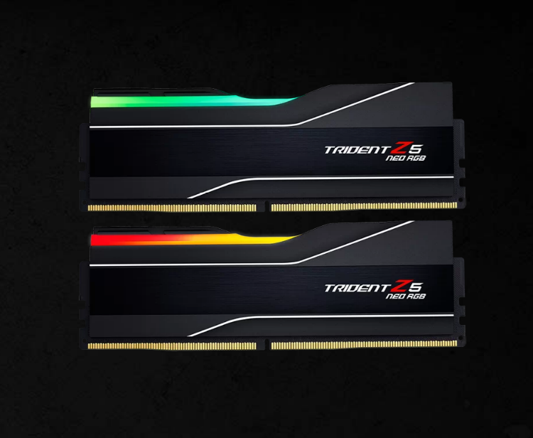 G.SKILL F5-6000J2636H24GX2-TZ5NR 48GB (2 x 24GB) AMD EXPO/ DDR5  6000 MT/s/ Timings 26-36-36-96/Voltage 1.45V/ Heatsink TZ5 Neo RGB
