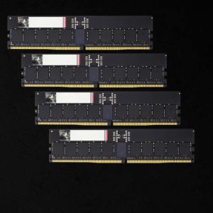 G.SKILL F5-6000R3036G16GQ4-G5N 4 x 16GB/ DDR5 6000 MT/s/ Timings 30-36-36-96/ Voltage 1.4V/ EXPO – G.SKILL MEGS-F5-3036-4X16G-G5N DDR5 R-DIMM (Desktop) Product Image