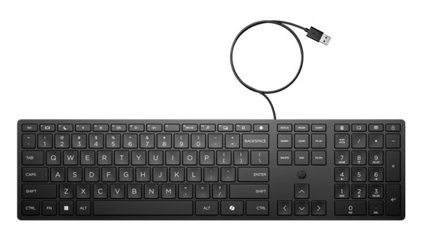 HP Wired 320K Full-Sized Keyboard - Compatible with Windows 10