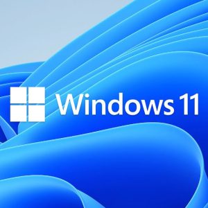 Microsoft Windows 11 Home OEM 64-bit English 1 Pack DVD. Key only NEW – Microsoft SMSWIN11HOME64 Operating System Product Image