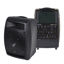 150 watt 8" full range
