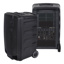 250 watt (200 watt RMS) 10" two way