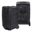 250 watt (200 watt RMS) 10" two way