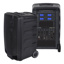 250 watt (200 watt RMS) 10" two way