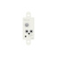 Cloud L-1 Line Input Active Module WH.US plate - Image 3