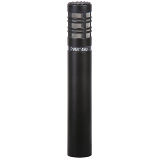 Peavey Condenser super-cardioid microphone. Includes case and windsock