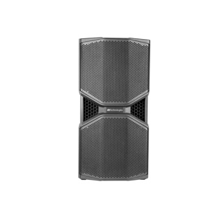 DB Tech Quasi 3 way active speaker. 2 x 10" Neo woofers