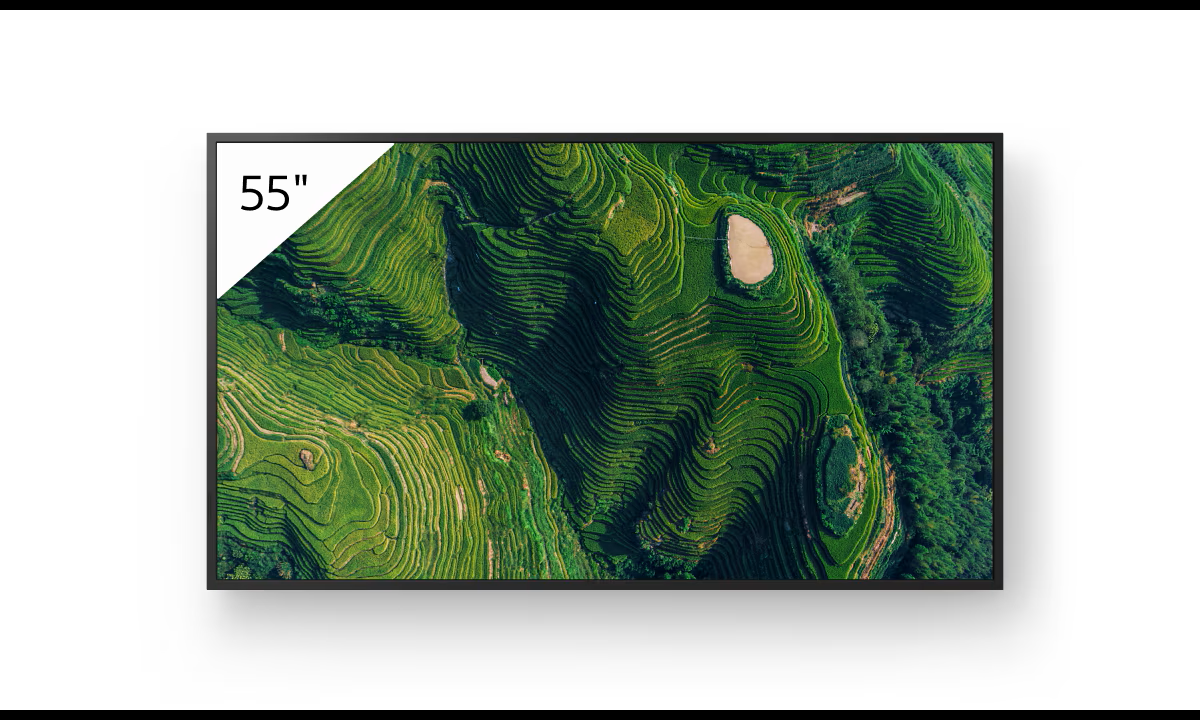 SonySONY 55 PRO BRAVIA BZ35P 4K DLED 500NITS 25PC HAZE HDR ANDROID DISPLAY - 5YR WTYCommercial LCD